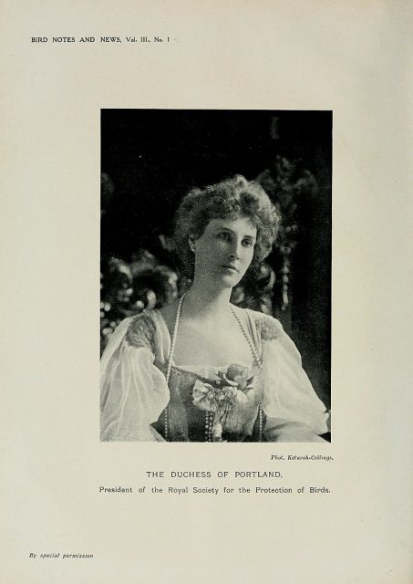 Winifred Cavendish-Bentinck, Duchess of Portland.