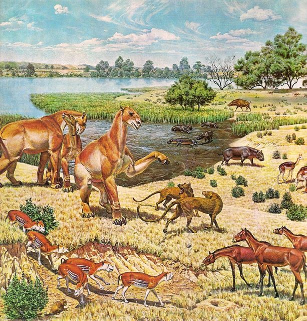 Miocene Fauna of North America, by paleoartist Jay Matternes.