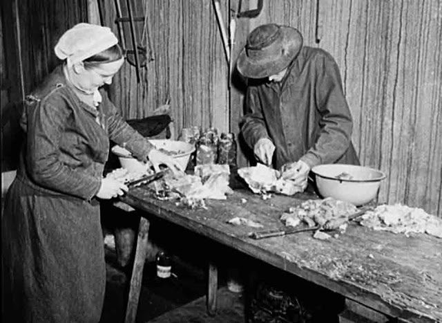 Amish man and woman prepare beef for canning in March 1942.