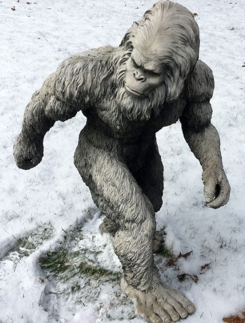 Artists impression of Bigfoot.