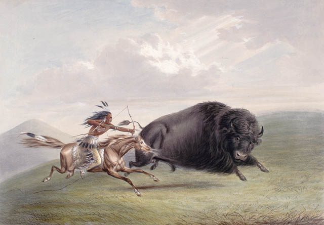 A bison hunt depicted by George Catlin