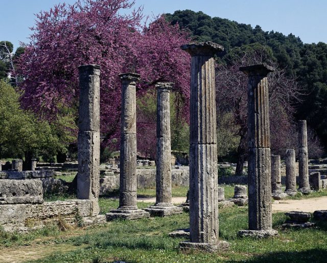 a row of columns at the palaestra of Olympia