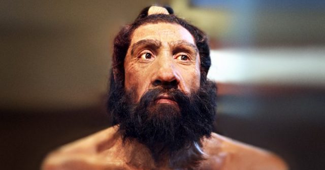 Neanderthal reconstruction. Photo by By Tim Evanson CC BY SA 2.0