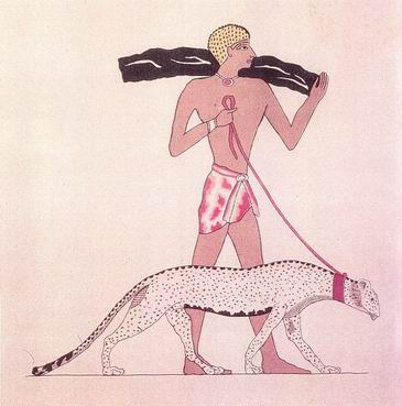 Drawing of a man walking a cheetah on a leash