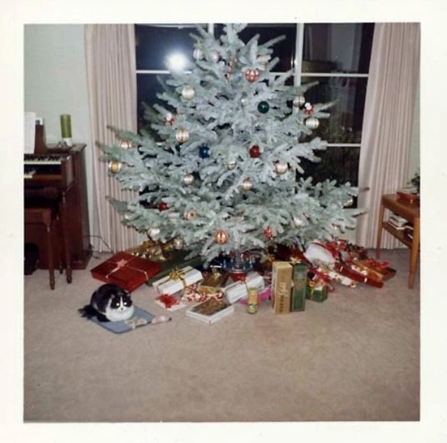 The futuristic white tree emerged as a staple of Christmas during the 1950s.