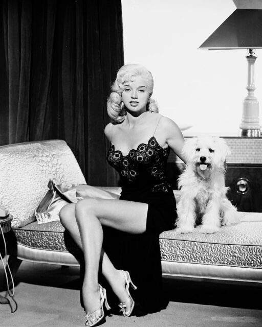 Portrait of Diana Dors and a dog