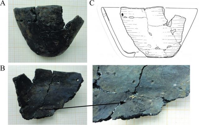 Fragment of Endmesolithic pottery. Photo by 2018 Shevchenko et al. CC BY SA 4.0