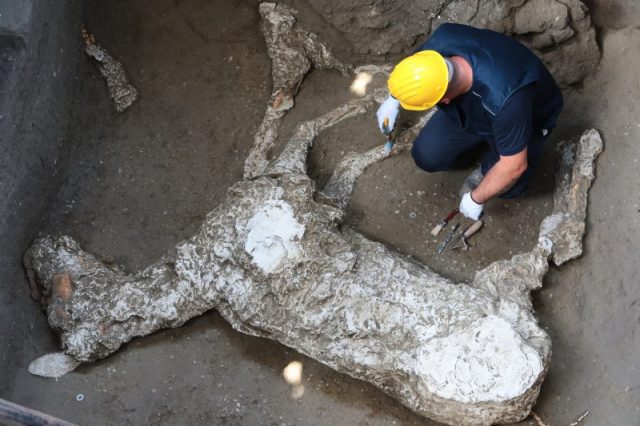 A restorer works on the mould of a horse in the ruins of a Roman villa recently found by Italian Carabinieri (Military Police Corps). Photo by Carlo Hermann/KONTROLAB/KONTROLAB /LightRocket via Getty Images