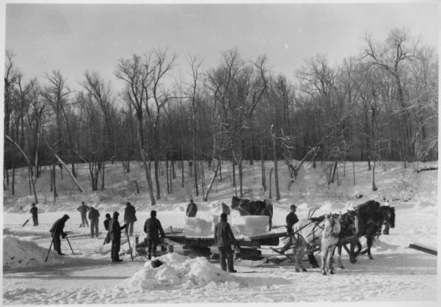 Ice blocks are cut and loaded onto a horse drawn sled.