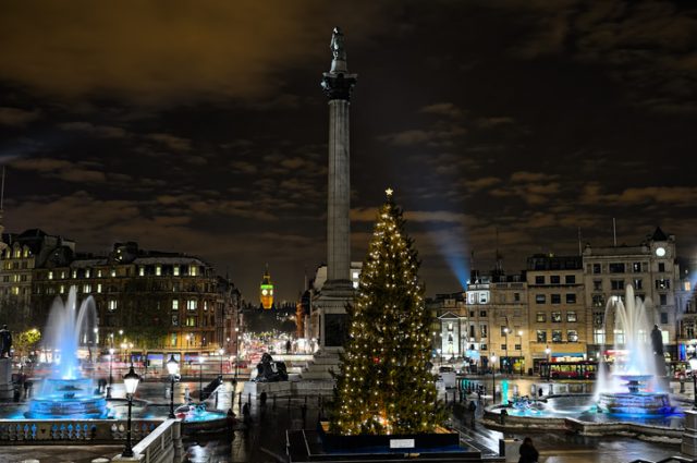 Trafalgar Square Christmas tree