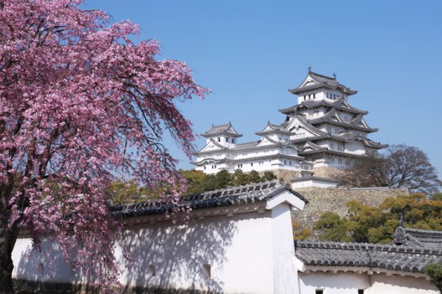 Himeji Castle in the spring of 2009