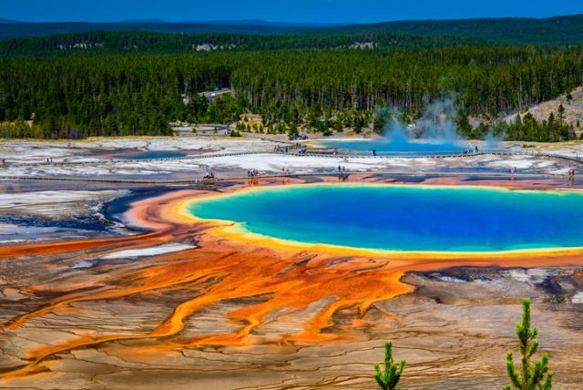 Yellowstone National Park.