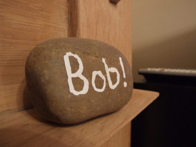 Pet Rock – Bob. Photo by abooth202 CC BY 2.0