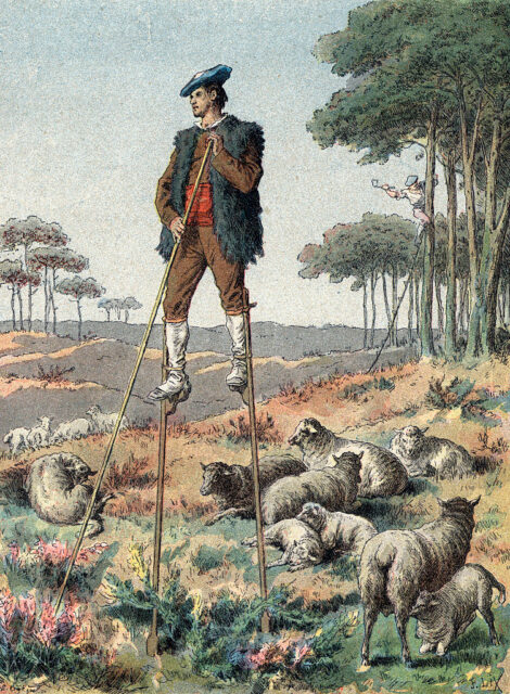Painting of a stilt walker standing among his flock of sheep