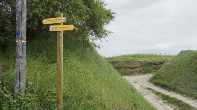 The Via Francigena – in France given the Grande Randonnée route number GR145 – crossing the Massif de Saint Thierry, Champagne. Photo by Garitan CC BY-SA 3.0