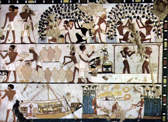 Grape cultivation, winemaking and commerce in ancient Egypt c. 1500 BC.