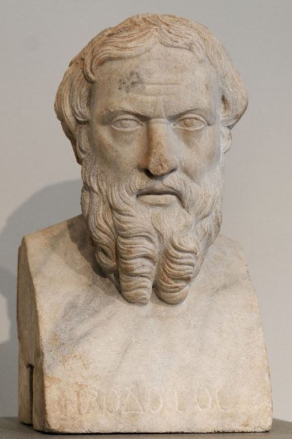 Bust of Herodotos