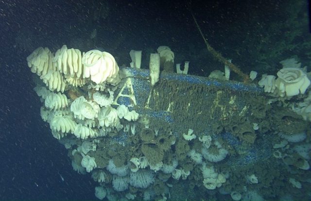 The wreck of the American Heritage was heavily colonized by deep-sea sponges and other animals. But the name of the boat was still partly visible at the bow. Photo Credit: © 2018 MBARI