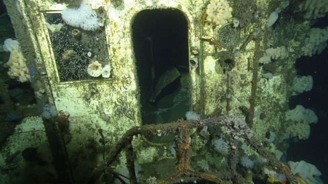 Using MBARI’s remotely operated vehicle Doc Ricketts, researchers explored the wreck of the American Heritage and even peered inside the door to the ship’s wheelhouse. Photo Credit: © 2018 MBARI