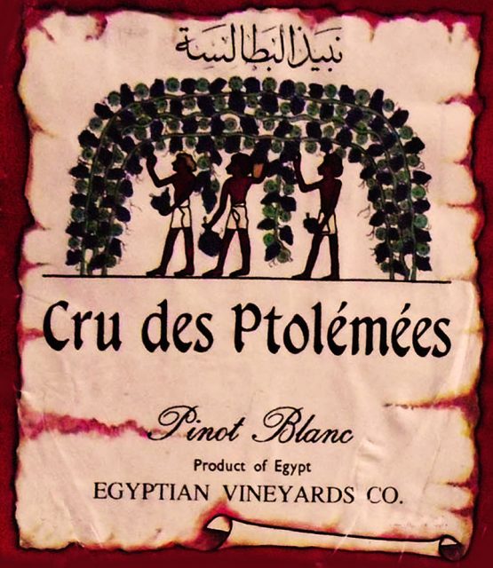 Egyptian Vineyards wine label.