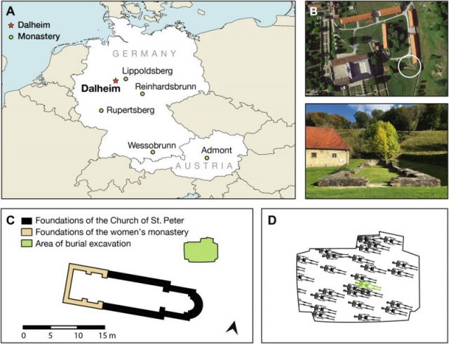 Dalheim Church of St. Peter and women’s monastery. Photo Courtesy C. Warriner et al., 2019/Science Advance