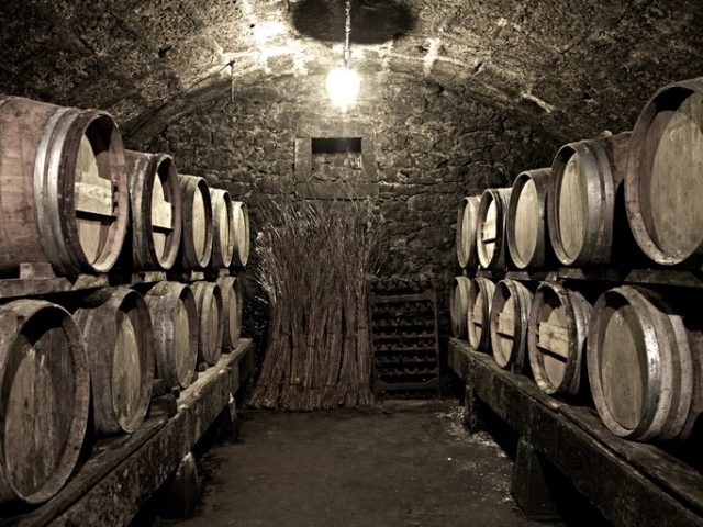Antique wine cellar with old wine barrels.