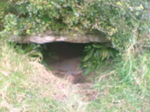 Oweynagat (‘cave of the cats’), one of the many ‘gateways to the Otherworld’ whence beings and spirits were said to have emerged on Samhain. Photo by Davsca CC BY SA 3.0