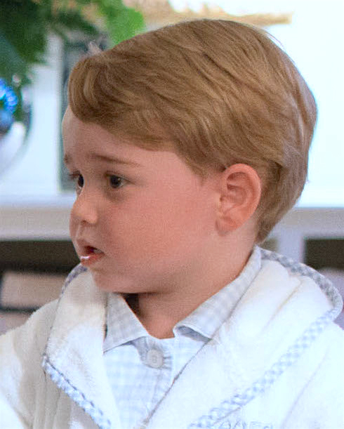 Prince George in 2016.