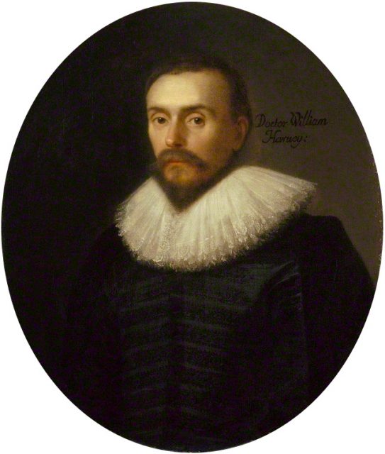 Portrait of William Harvey