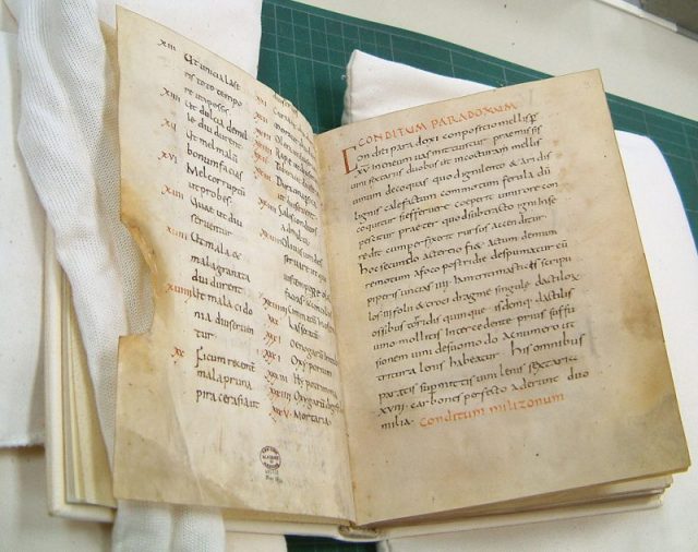 This is a picture from the Apicius handwriting (ca. 900 A.C) of the Fulda monastery in Germany, which was acquired in 1929 by the New York Academy of Medicine. Photo by Bonho1962 CC BY-SA 3.0