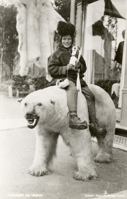 Lappegutt og Isbjørn (Sámi boy and ice-bear). Photo is very likely from inner Finnmark, Norway c. 1929. Public postcard. Photo by Øien Kunstforlag, Tromsø – Øien Kunstforlag Postkort CC BY-SA 3.0