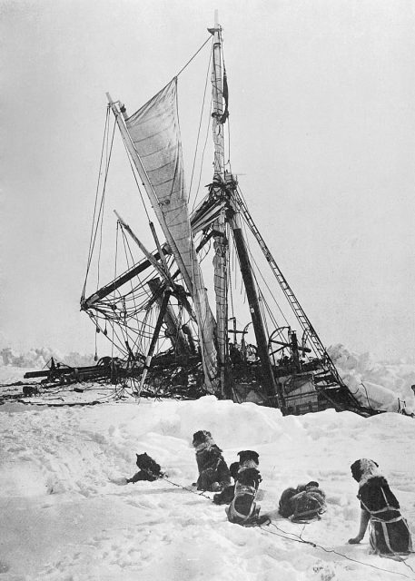 Dogs watching Endurance in the final stages of its drift, shortly before it sank to the bottom of the Weddell Sea