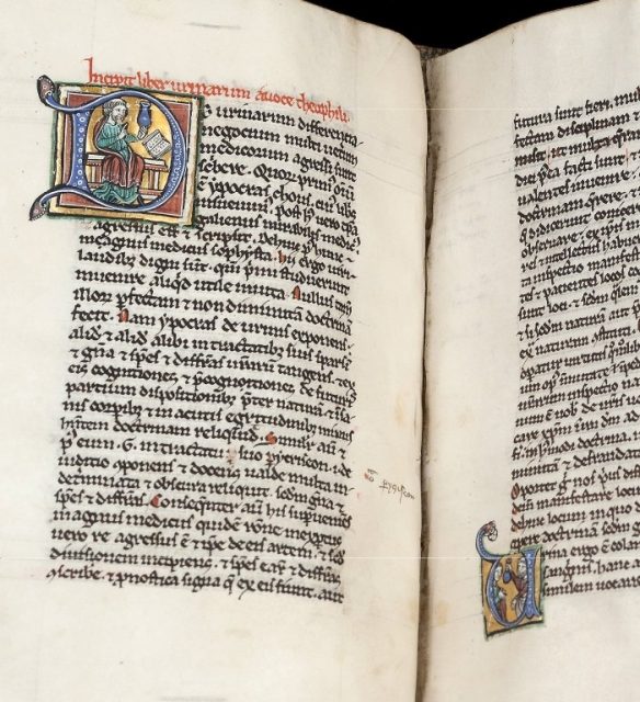 Image of two facing pages of the illuminated manuscript of “Isagoge”, fols. 42b and 43a. On the top of the left hand page is an illuminated letter “D” – initial of “De urinarum differencia negocium” (The matter of the differences of urines).