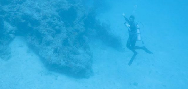 Diver examining the wreck. Photo Credit: Stephani Gordon, Open Boat Films