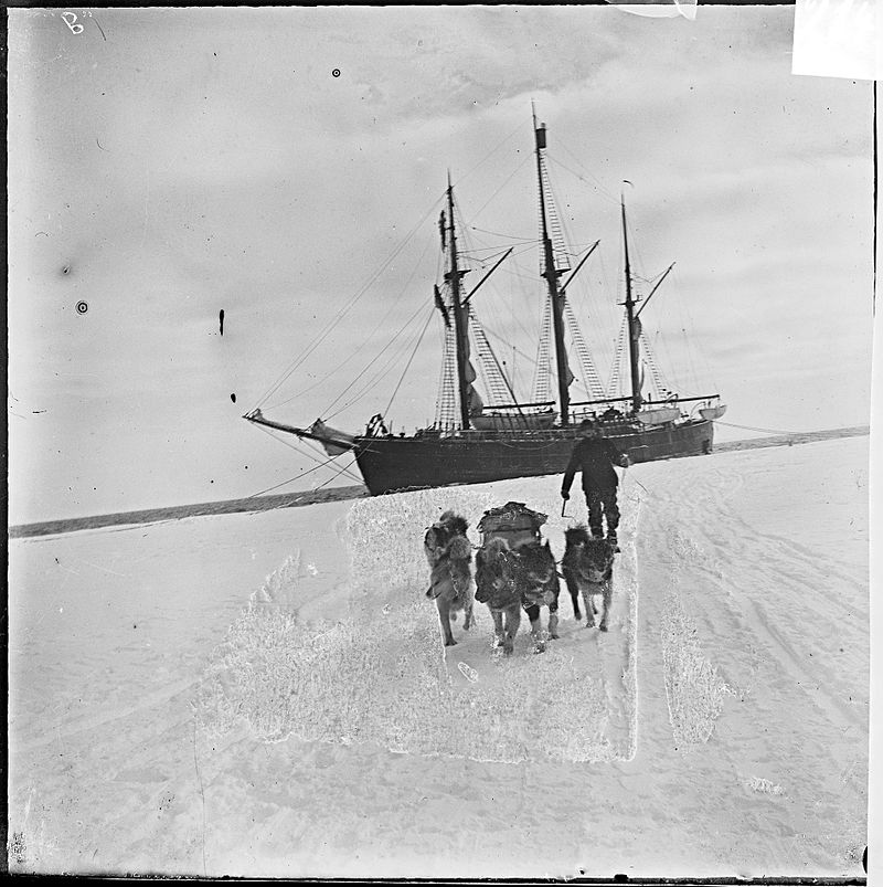 Sled Dogs No More Why Huskies are Banned from Antarctica The