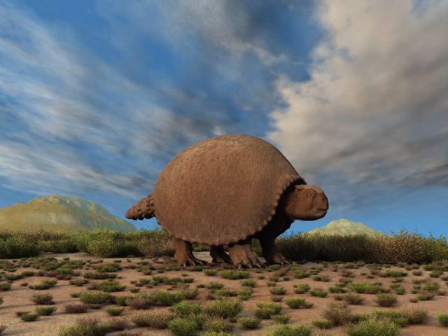 Glyptodon