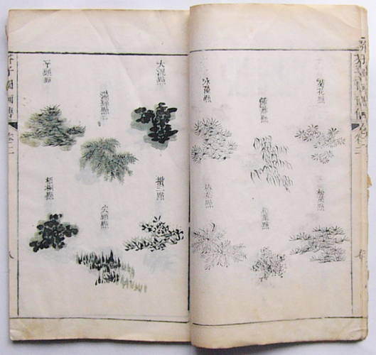 Two pages of the ‘Manual of Mustard Seed Garden’ (Jieziyuan Huazhuan) 1st set, 2nd volume, 1782 edition published in Sushu, China. Color woodblock printing on paper, bound by stitching.
