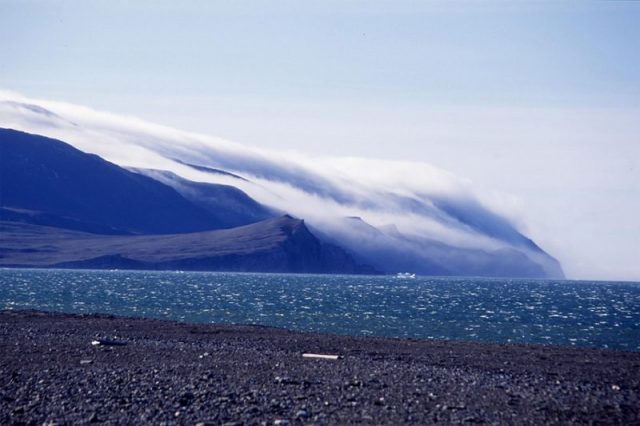 Wrangel Island. Photo by Jully morning CC BY-SA 4.0