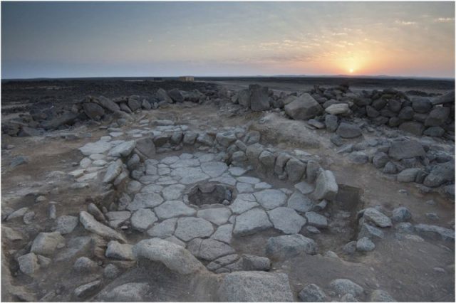 The site of Shubayqa 1 showing Structure 1 and one of the fireplaces (the oldest one) where the bread-like remains were discovered. Photo by Amaia Arranz Otaegui