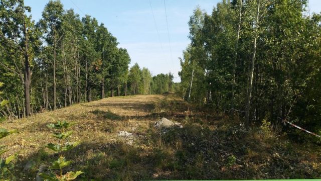 Railway embankment at “Zone 65”, near the crossing of Uczniowska Street, Wałbrzych, where it was claimed the Gold Train was hidden. Photo by RafalSs CC BY-SA 4.0