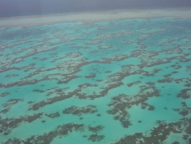 Part of Great Barrier Reef from helicopter. Photo by Nickj CC BY-SA 3.0