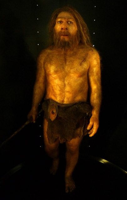 Reconstruction of the La Chapelle-aux-Saints individual by Élisabeth Daynès (2010), Museo de la Evolución Humana, Burgos, Spain. Photo by  E. Daynes CC BY SA 4.0