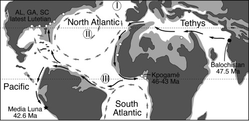 Distribution of Protocetid Whales during the Middle Eocene. Photo courtesy of Cell Press