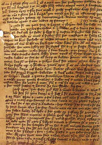 A sheet of Eiríks saga rauða (The Saga of Erik the Red)