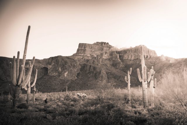 The Superstition Mountains of Arizona in morning light with Saguaro cactus