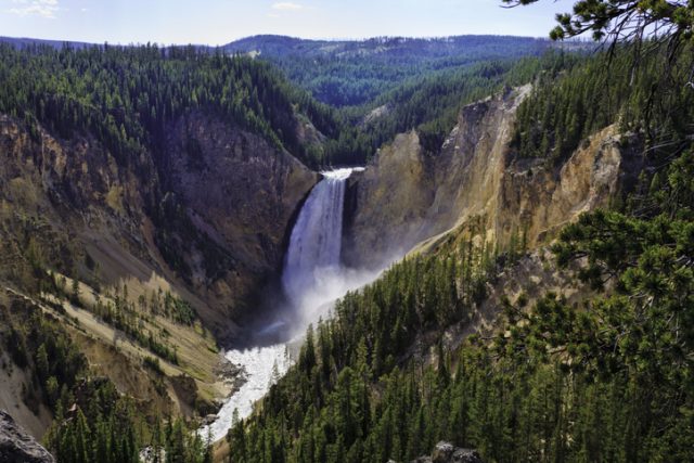 Yellowstone Falls, Grand Canyon of the Yellowstone, Yellowstone National Park, Montana