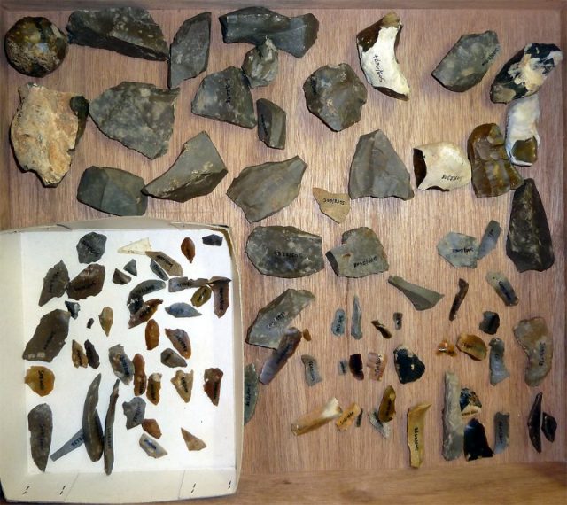 Mesolithic microlith artefacts found at Stevoort, 2008. Photo by Vaneiles CC BY-SA 3.0
