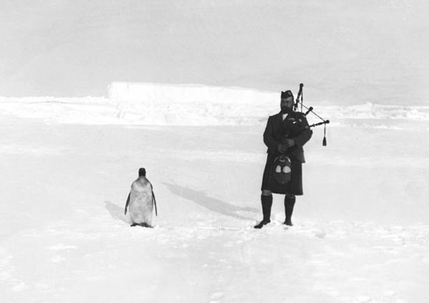 Nova Scotia piper