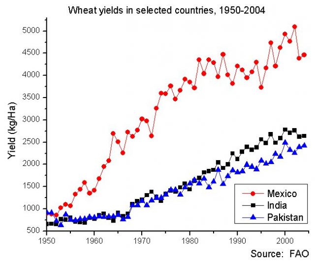 Wheat yields in Mexico, India and Pakistan, 1950 to 2004. Baseline is 500 kg/ha