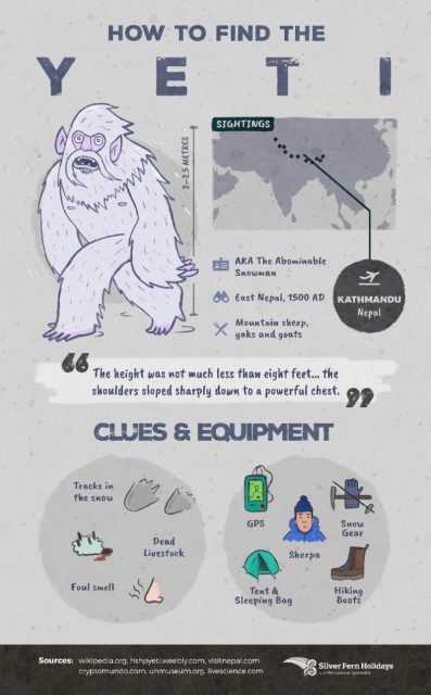 Yeti Card. Photo by Silver Fern Holidays